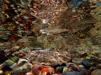 P8230308