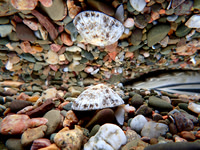 P3240248