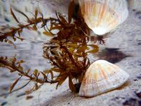 P1130082