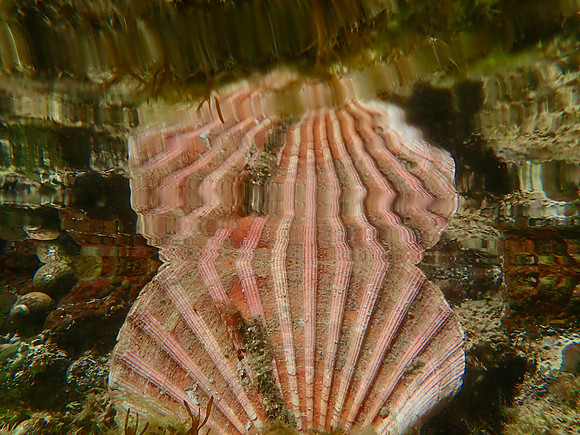 P8210139