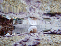 PB020119