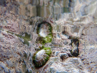 P9300152