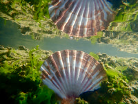 P9270094