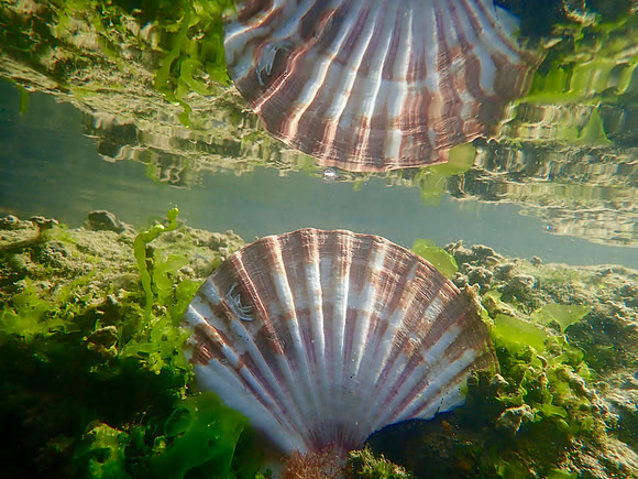 P9270094