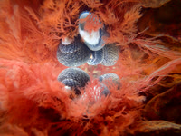 P3030151