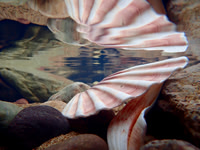 P2030048