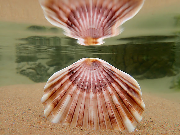 P5260271