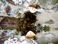 P9300021