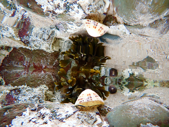 P9300021