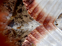 P4250260