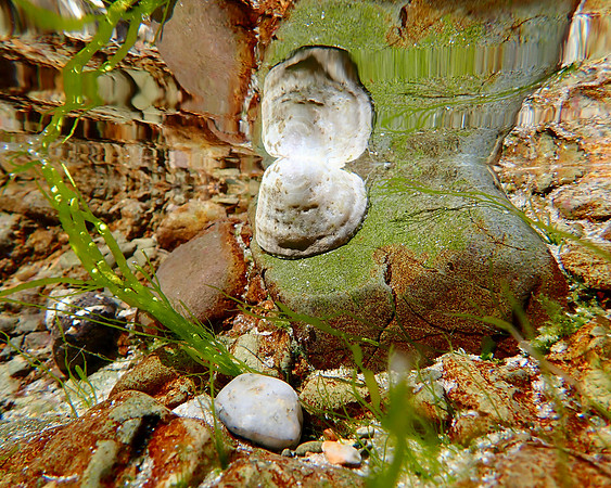 P4080045 - La Coupe
