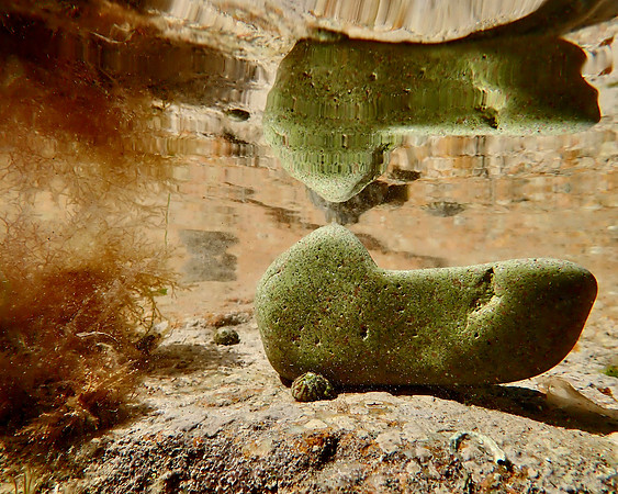 P7032679 - Belcroute