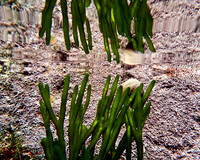 PB108781 - Beauport