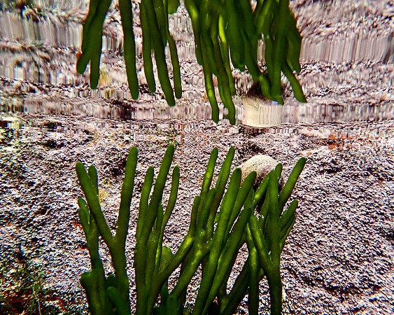 PB108781 - Beauport