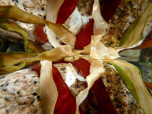P4030189