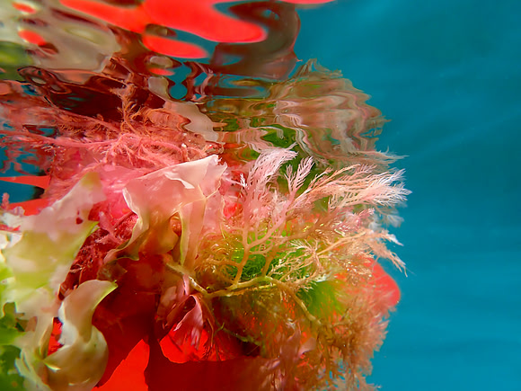 P6010037