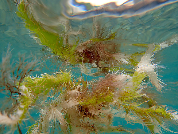 P6030276