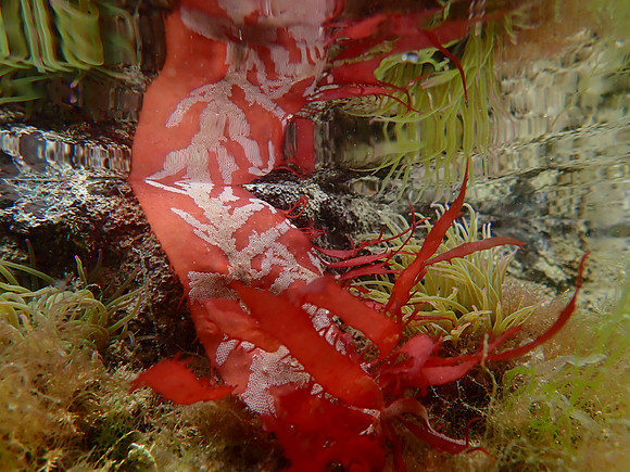 P8260093
