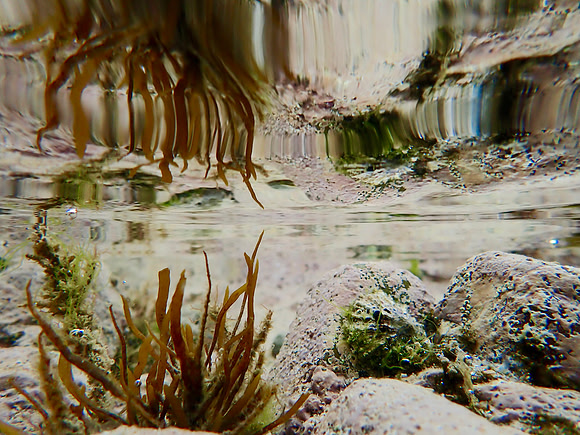 P9040120