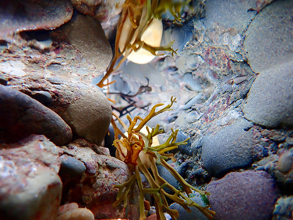 P1280219