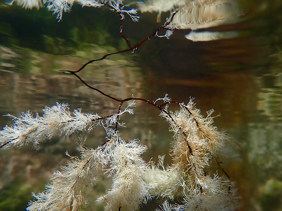P7030250