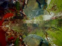 P8310212