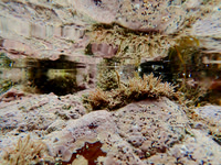 P9040124