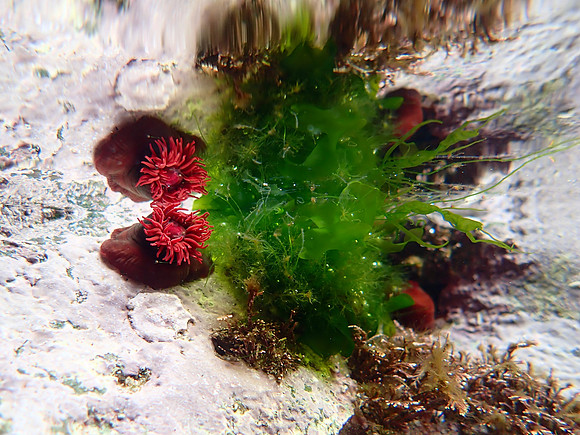 P3240280