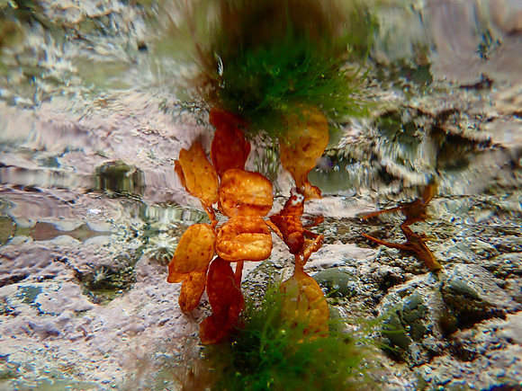 P9300114