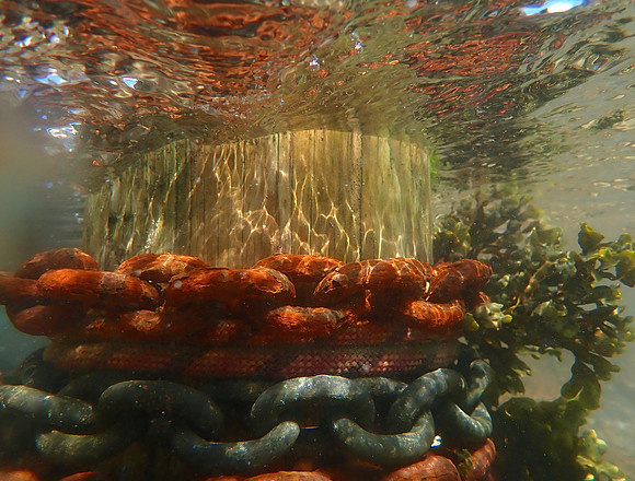 P7110019