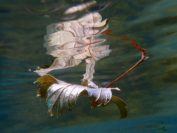 P7260240