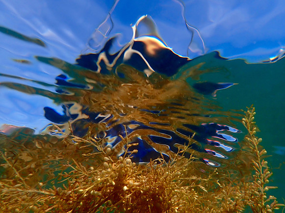 P7290137