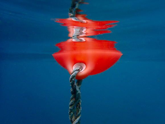 P6030087