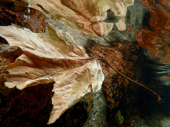 P6270023