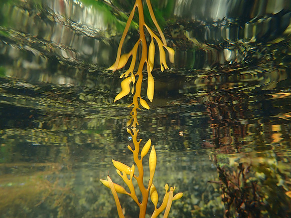 P7120171