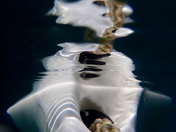 P8050023