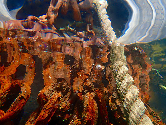 P8090125