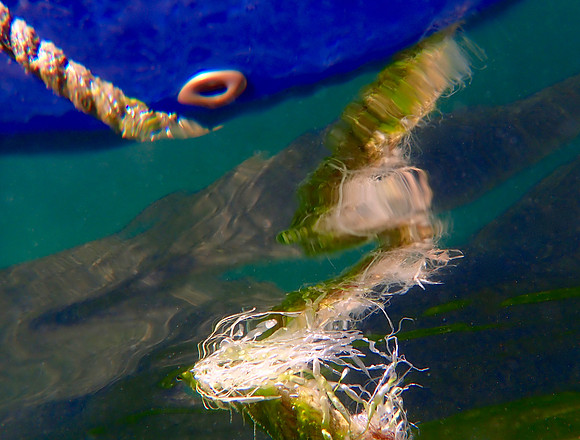 P7290114