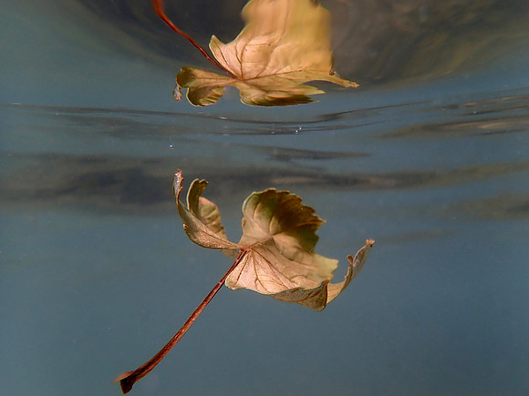 P7260204