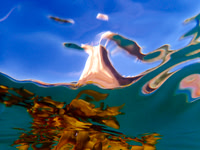P8010057