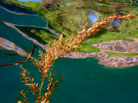 P7220123