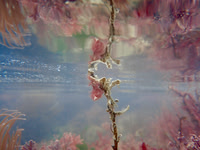 P1150099