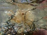 P5090440