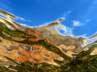 PA100177