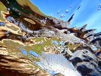 PA090209