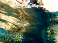 P2050009