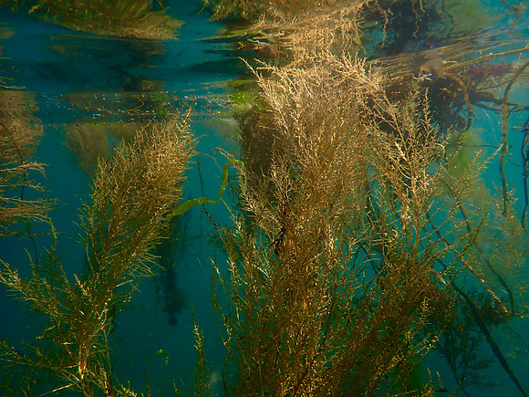 P7220095