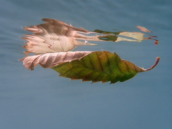 P5230107
