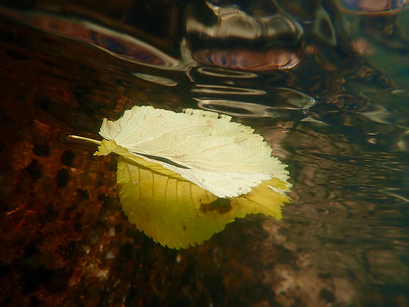 P8230100