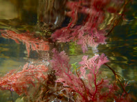 P9010089
